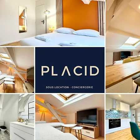 L'elegance Montoise - Plein Centre - Confort * Mont-de-Marsan